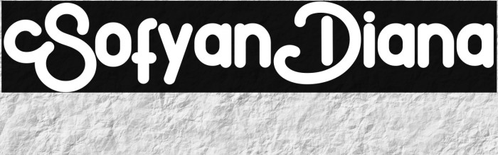 SofyanDiana Example 3