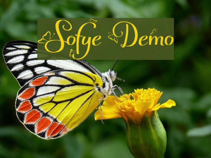 Sofye Demo Font examples