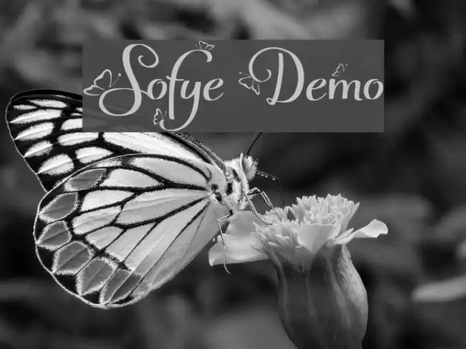 Sofye Demo Fuentes examples