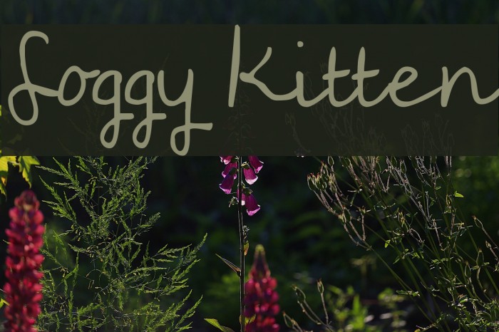 Soggy Kitten Font examples