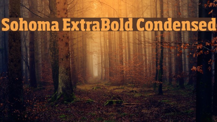 Sohoma ExtraBold Condensed Font examples