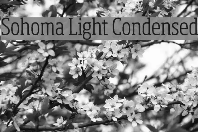 Sohoma Light Condensed Font examples