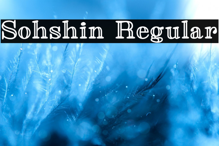 Sohshin Regular Example 2