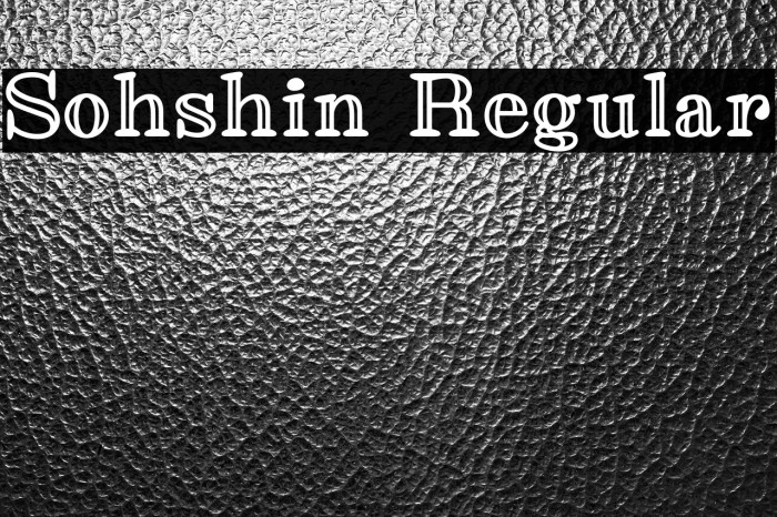 Sohshin Regular Example 3