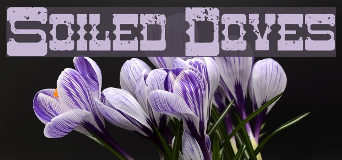 Soiled Doves Font examples