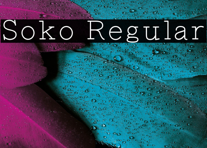 Soko Regular Example 2