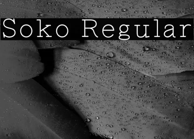 Soko Regular フォント examples