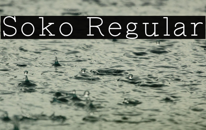 Soko Regular Example 3