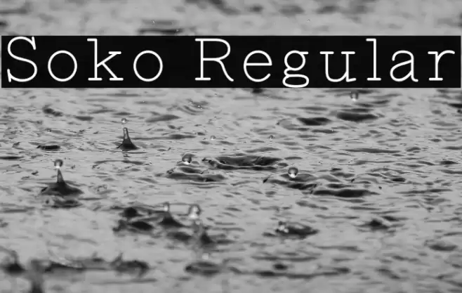 Soko Regular フォント examples