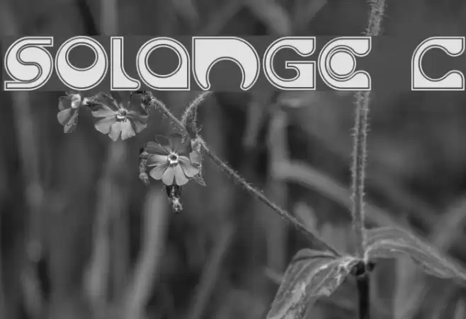 Solange C Font examples