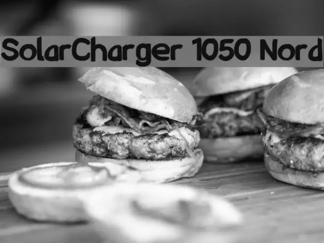 SolarCharger 1050 Nord Polices examples
