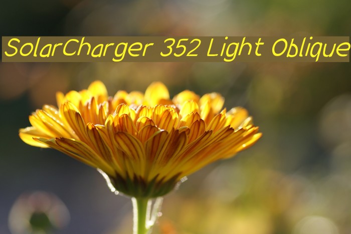 SolarCharger 352 Light Oblique Font examples