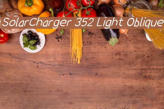 SolarCharger 352 Light Oblique Font examples