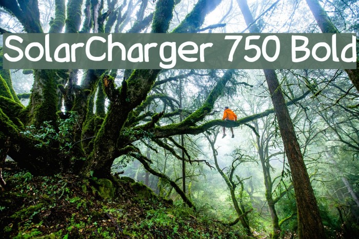 SolarCharger 750 Bold Font examples