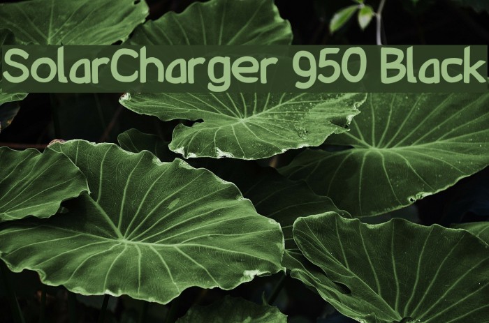 SolarCharger 950 Black Font examples