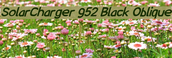 SolarCharger 952 Black Oblique Font examples