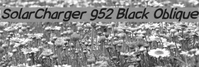SolarCharger 952 Black Oblique  examples