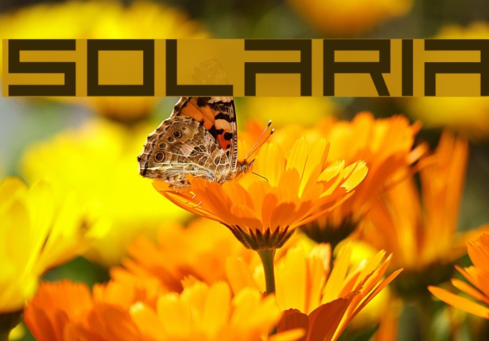 Solaria Font examples