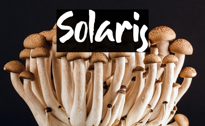 Solaris Example 2