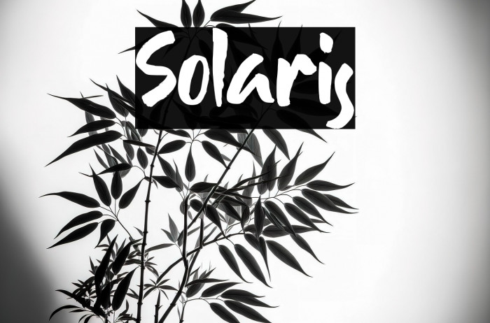 Solaris Example 3