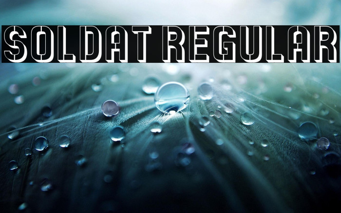 Soldat Regular Example 1