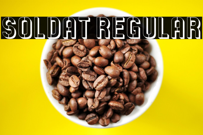 Soldat Regular Example 2