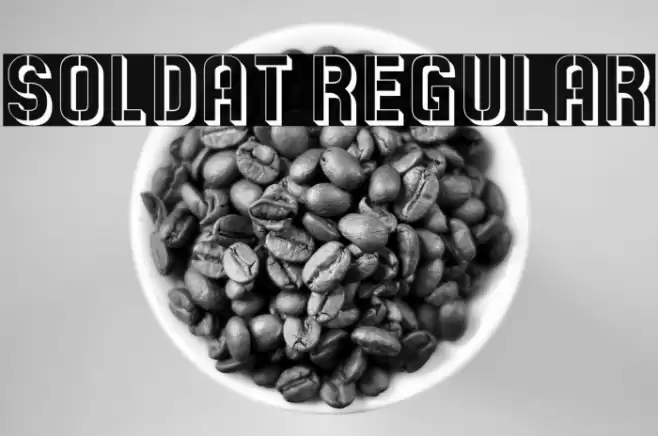 Soldat Regular Font examples