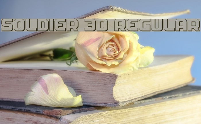 Soldier 3D Regular Font examples