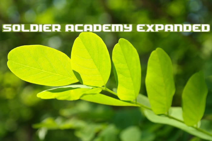 Soldier Academy Expanded Font examples