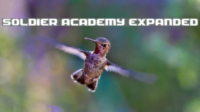 Soldier Academy Expanded Example 2