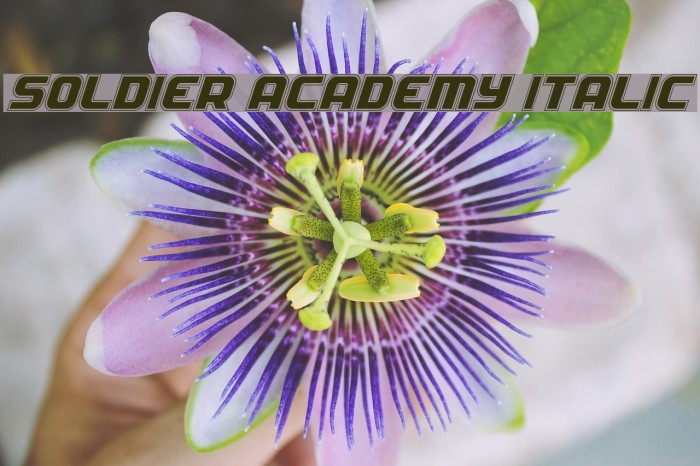 Soldier Academy Italic Example 3