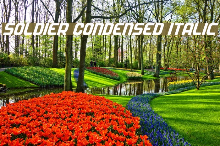 Soldier Condensed Italic Font examples