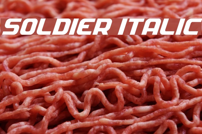 Soldier Italic Font examples