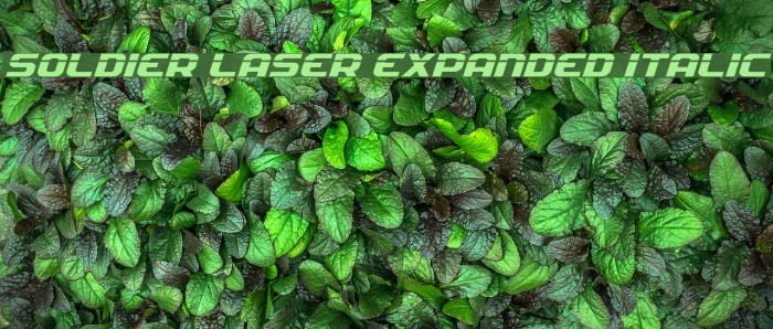 Soldier Laser Expanded Italic Example 1