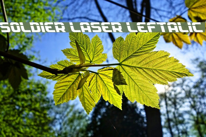 Soldier Laser Leftalic Font examples