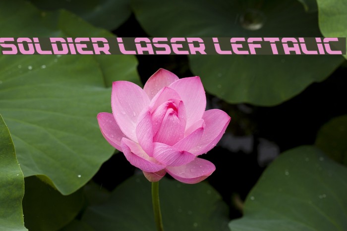 Soldier Laser Leftalic Font examples