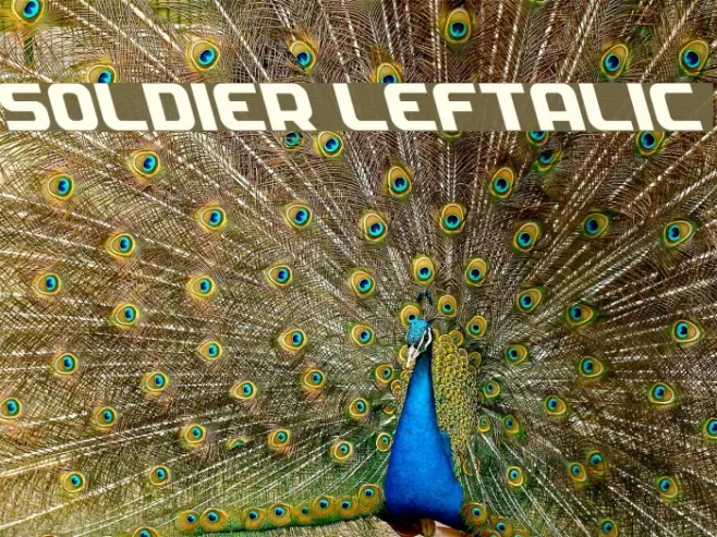 Soldier Leftalic Example 2