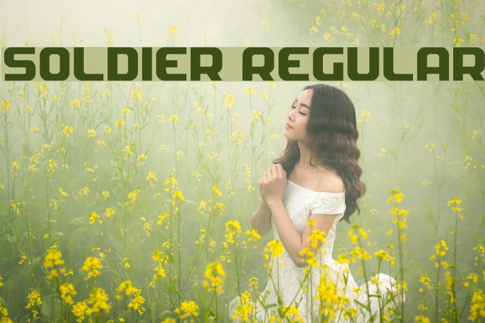 Soldier Regular Polices examples