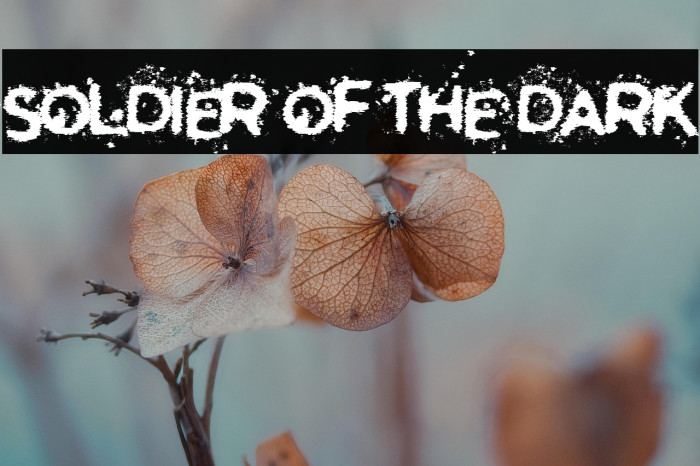 Soldier of the Dark Example 1