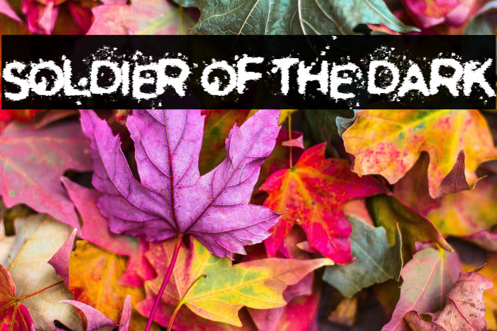 Soldier of the Dark Example 3