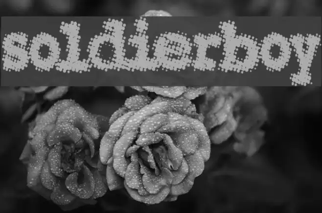 Soldierboy Polices examples