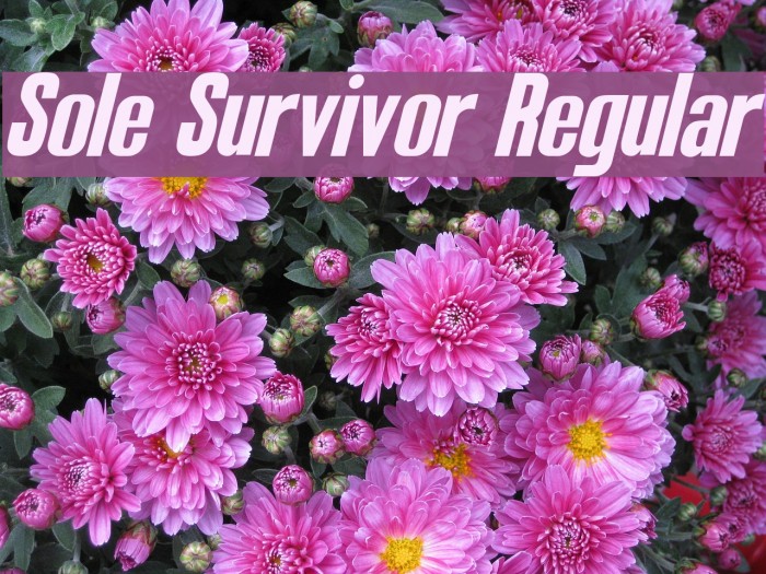 Sole Survivor Regular Font examples