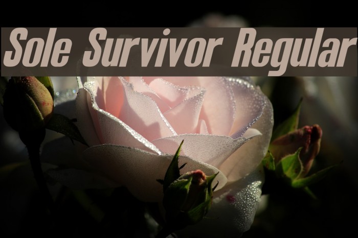 Sole Survivor Regular Font examples