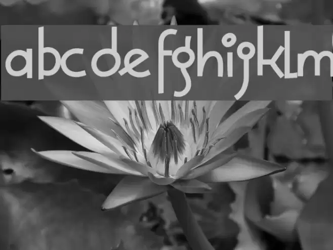 Solea-Bold Font examples