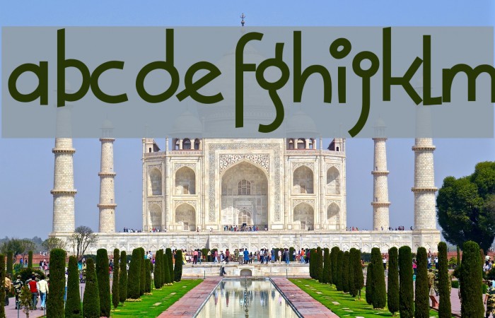 Solea-Bold Example 2