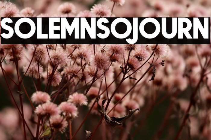 Solemn Sojourn Example 2