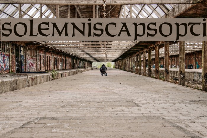 SolemnisCapsOpti Font examples