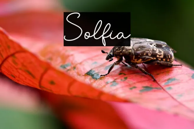 Solfia Example 1