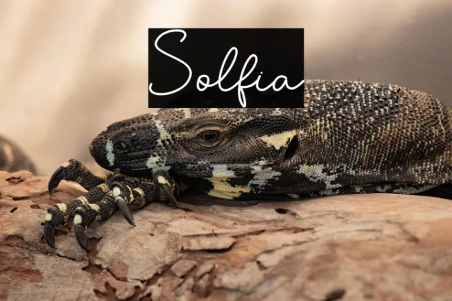 Solfia Example 2