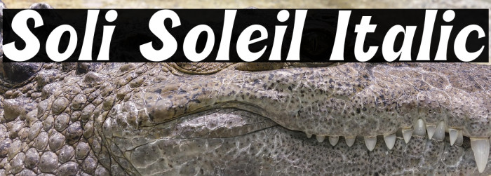 Soli Soleil Italic Example 1